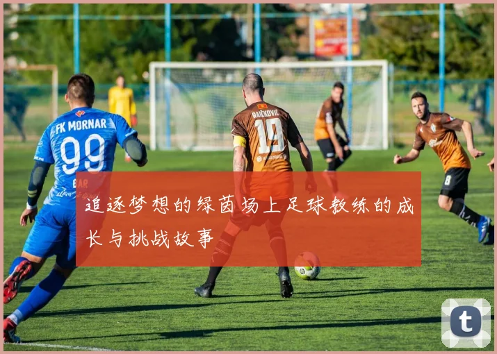 追逐梦想的绿茵场上足球教练的成长与挑战故事