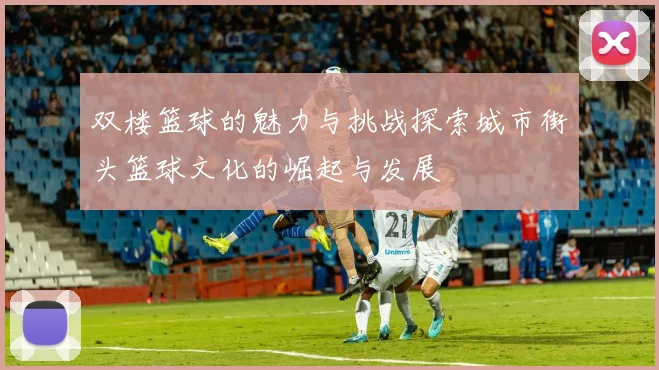 双楼篮球的魅力与挑战探索城市街头篮球文化的崛起与发展
