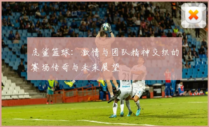 虎鲨篮球：激情与团队精神交织的赛场传奇与未来展望