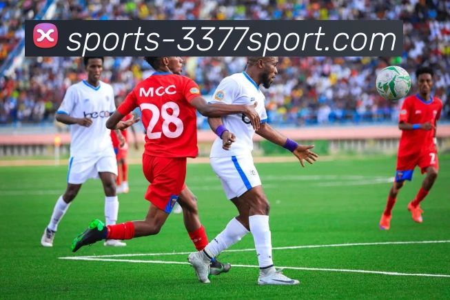 3377平台平台生态图